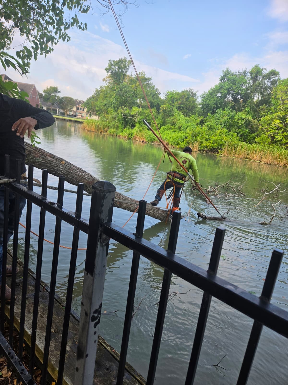 Crew member cutting apart a storm-fallen tree lying across the edge of a pond